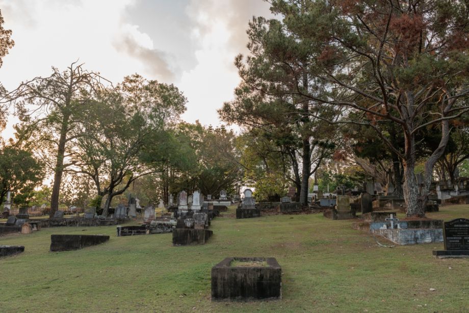 Mature trees feature through out the landscape of the Toowong Cemetery.