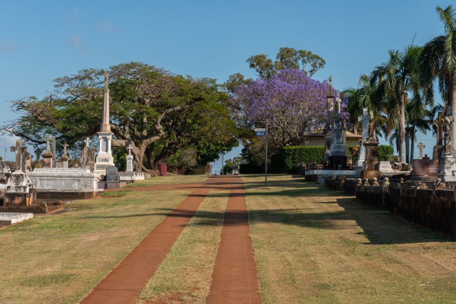 Jacaranda trees blooming over Nudgee Cemetery